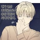 파티굿즈