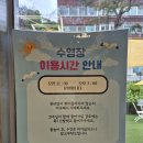 솔 cafe (솔 카페) | [인천/연수구] 야외 애견카페 '솔멍' 내돈내산 후기｜강아지수영장 오픈｜이용정보