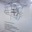 오장균치과교정과치과의원 | 마석교정치과 결정 전 직접 상담 받아본 솔직 후기 치아나라 치과교정과 치과의원