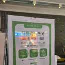 루트커피 | 대전 서구 둔산동 대형카페 애견동반 가능한 루트커피 후기