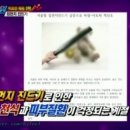 해충탈출넘버원 - 익산시 | 해충탈출넘버원
