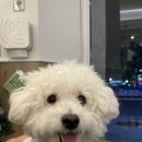 대디동물병원 이미지