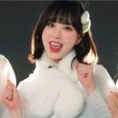 (주)비비지바이오 이미지