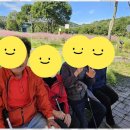 대덕구노인복지센터 이미지