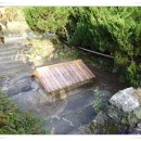 뚝길따라 이미지