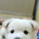 말랑말랑 이미지