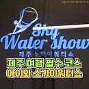 스카이워터쇼 | 제주가볼만한곳 스카이워터쇼 아이와 함께한 실내공연 후기