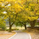 정촌유기농원 이미지