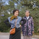 눈이부시게