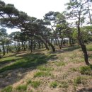 조경농장 이미지