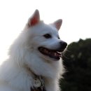 하늘과바람의호수 이미지