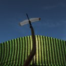 시흥시농업기술센터 이미지