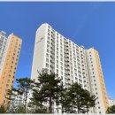 센트럴힐즈공인중개사사무소 이미지