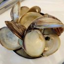 NR-7[동해대로]-상-3029 | 양양현지인맛집 , 낙산귀신고래