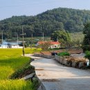 온동회관 이미지