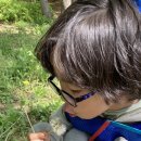 무궁화어린이집 이미지