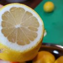 모먼트메종 이미지