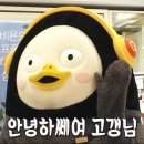 일신스포렉스 이미지