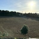 제주반디하우스 이미지