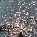 청남대 가을축제, 말티재와 속리산 법주사 세조길 이미지