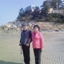단결태권도장 Daum카페