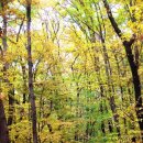 대학동-34 이미지