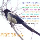 임계초등학교 이미지