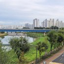 중랑천육교 이미지