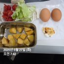 씨유 신대방제일점 | 보라매 메타몽가든 후기/수케팅 성공/오운완 성공_25.05.27 운동,식단