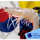 수산물 전자 위생증명서 인증 대상국 확대 이미지