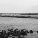 일과1리 이미지