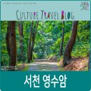 서천 영수암 목조보살좌상 이미지