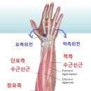 파인드 핏 이미지