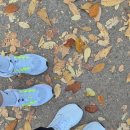 유가네뻥튀기 | 런린이의 첫 10km 도전기 / 2025고프리런🏃‍♀️🏅