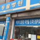 동부동물병원 이미지