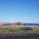 김용우 행정사 이미지