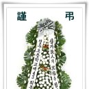 유림-1113 이미지