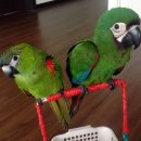 군포굿닥터동물병원 이미지