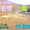 기린면 토지 1,749㎡ (529평) 1억 5,500만원 이미지