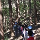 분향초등학교 이미지