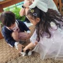 청지기농장 이미지