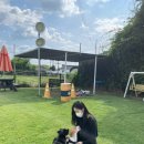 강아지정원 | 광주광역시 하늘정원 강아지 장례식장 리얼 후기!