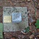 인제05-2 이미지