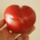 상운농장 이미지