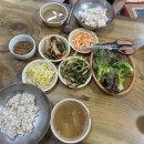 돌산보리밥 이미지