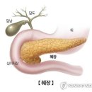 핑크팬더즈 수원세류점 이미지
