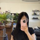 살롱 드 홍예