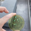 마나나안경원 이미지