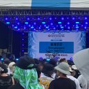이노쏭스 | 퇴사하고 2025 펜타포트 3일 내내 즐기고 온 후기