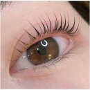 선브로우 이미지